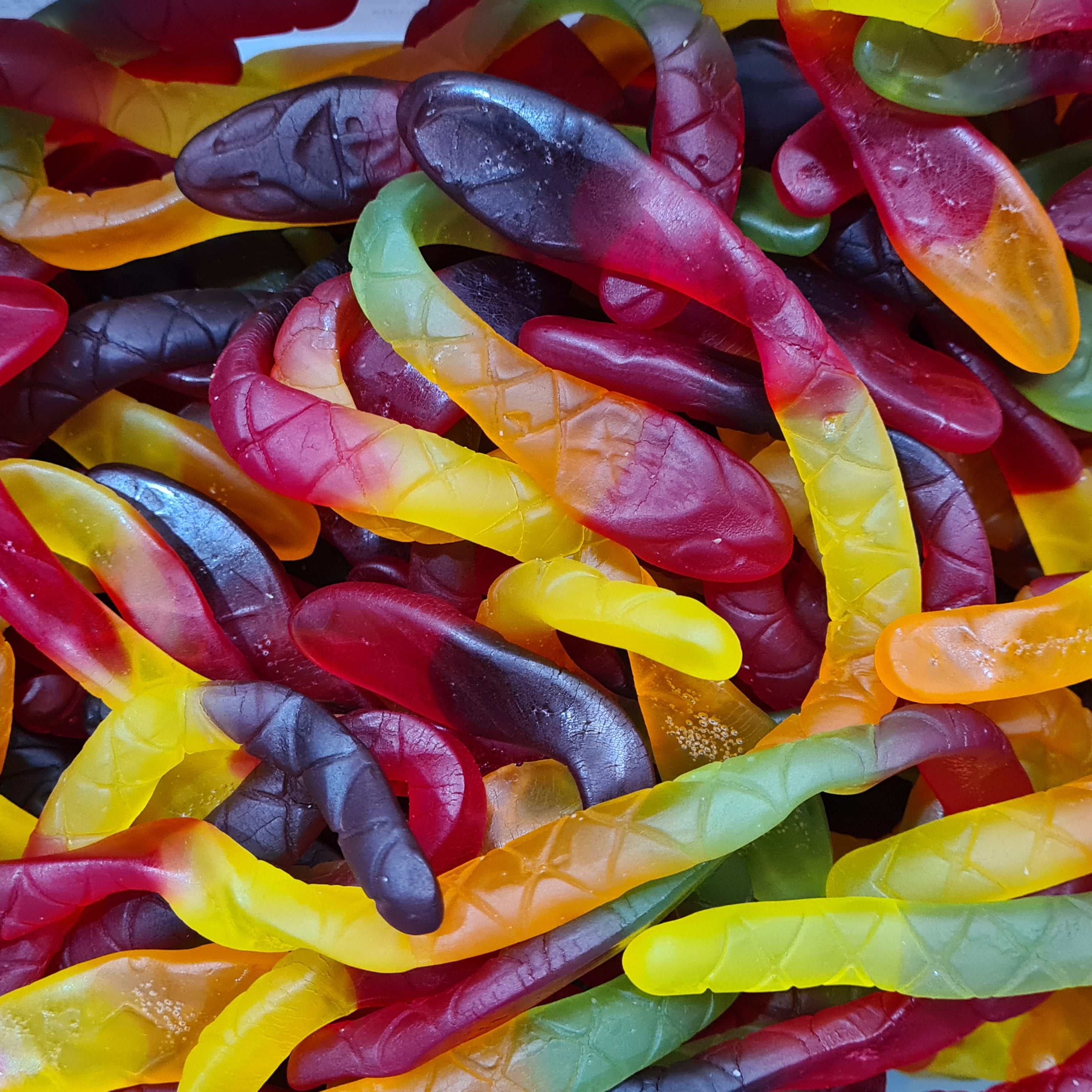 Killer Pythons – The Sweets Lab